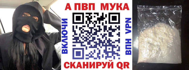 что такое   Ногинск  kraken как зайти  Alfa_PVP СК 