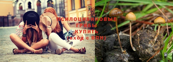 прущая мука Белокуриха